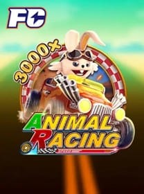 bib777 App Baixar Brasil